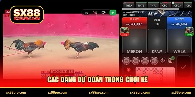 Các dạng dự đoán trong chọi kê