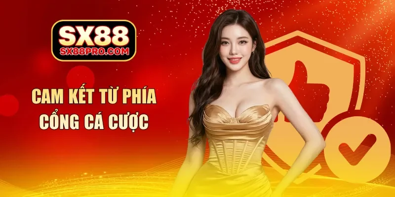 Cam kết từ phía cổng cá cược