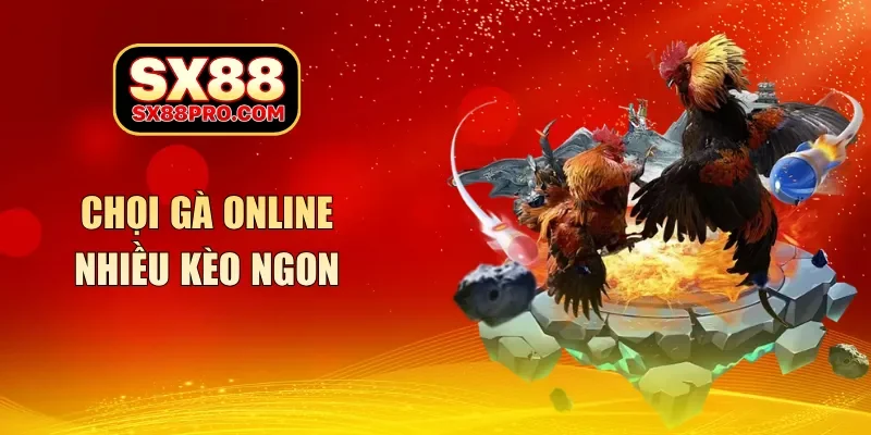 Chọi gà online nhiều kèo ngon