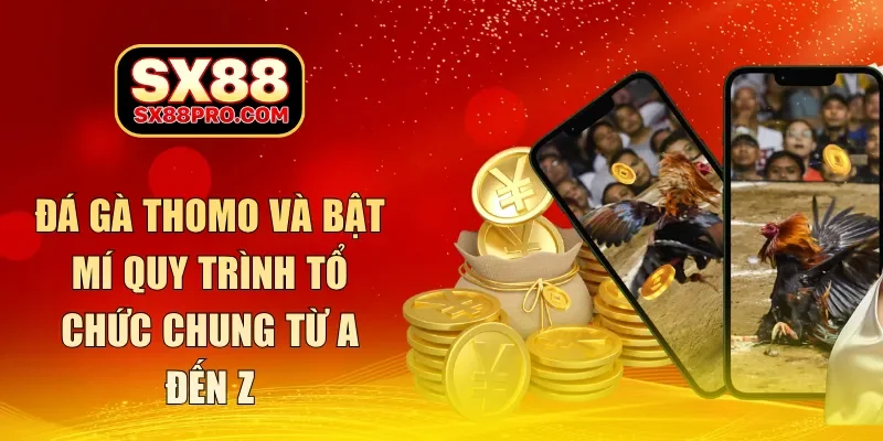 đá gà thomo
