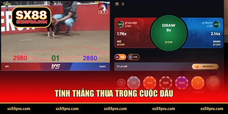 Tính thắng thua trong cuộc đấu