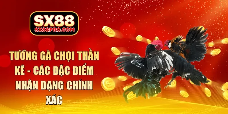 Tướng gà chọi thần kê